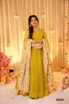 Clora Vol 16 Soft Dyed Silk Fully Flared Gown With Dupatta Wholesalers In Surat
